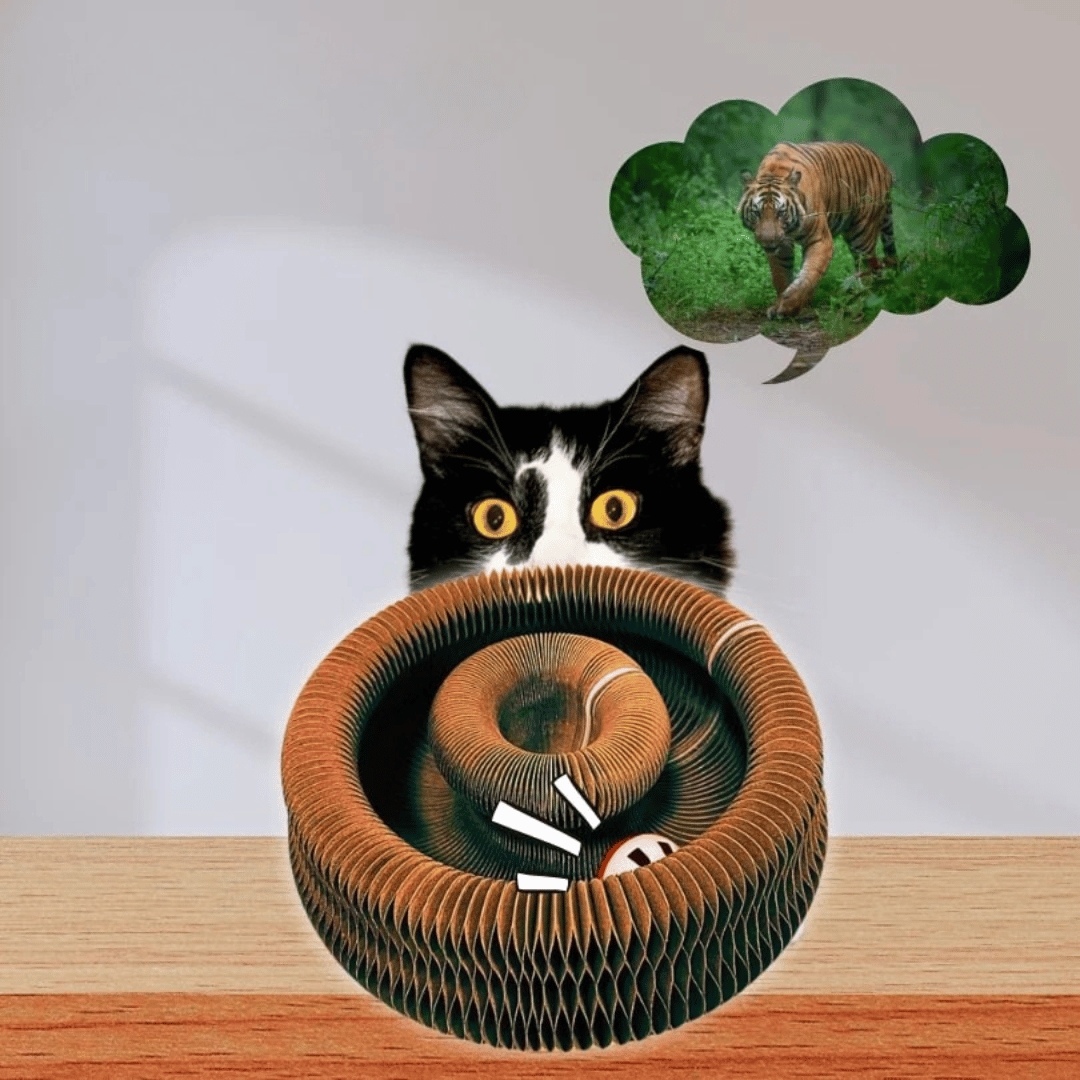 Kattklösbräda i Dragspelsdesign