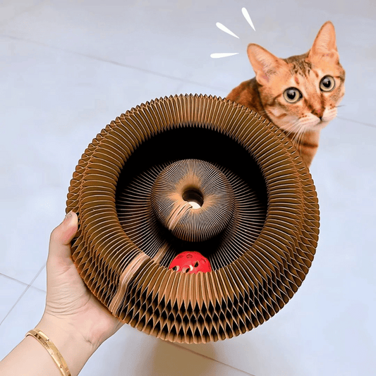 Kattklösbräda i Dragspelsdesign