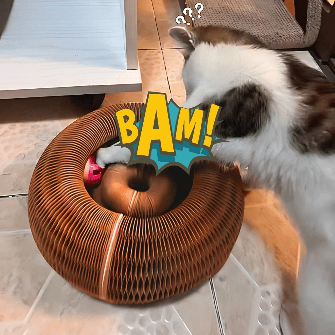 Kattklösbräda i Dragspelsdesign