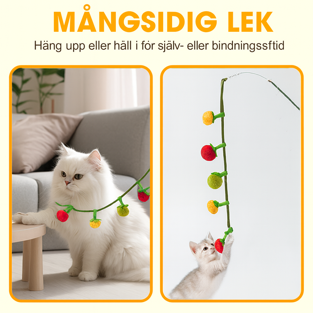 Interaktiv Fruktformad Kattleksak med Kattmynta & Snöre
