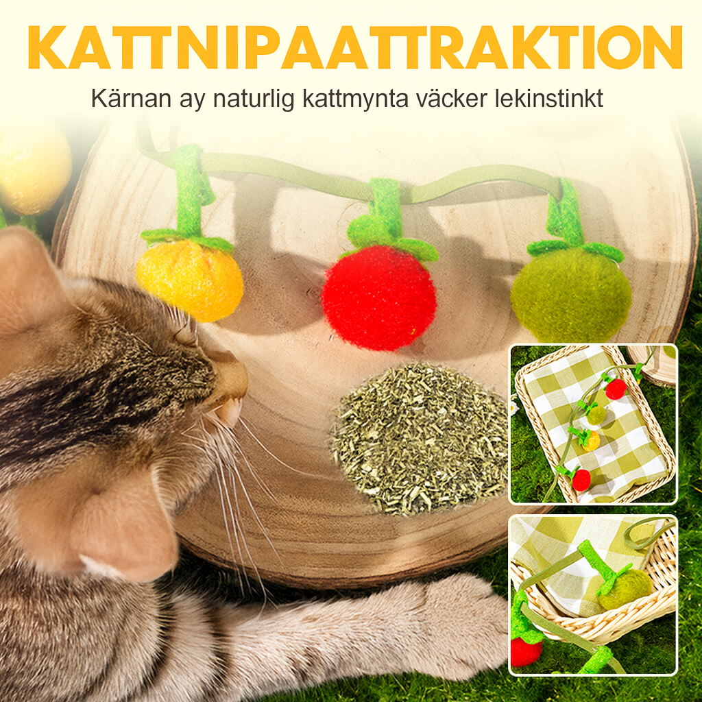 Interaktiv Fruktformad Kattleksak med Kattmynta & Snöre