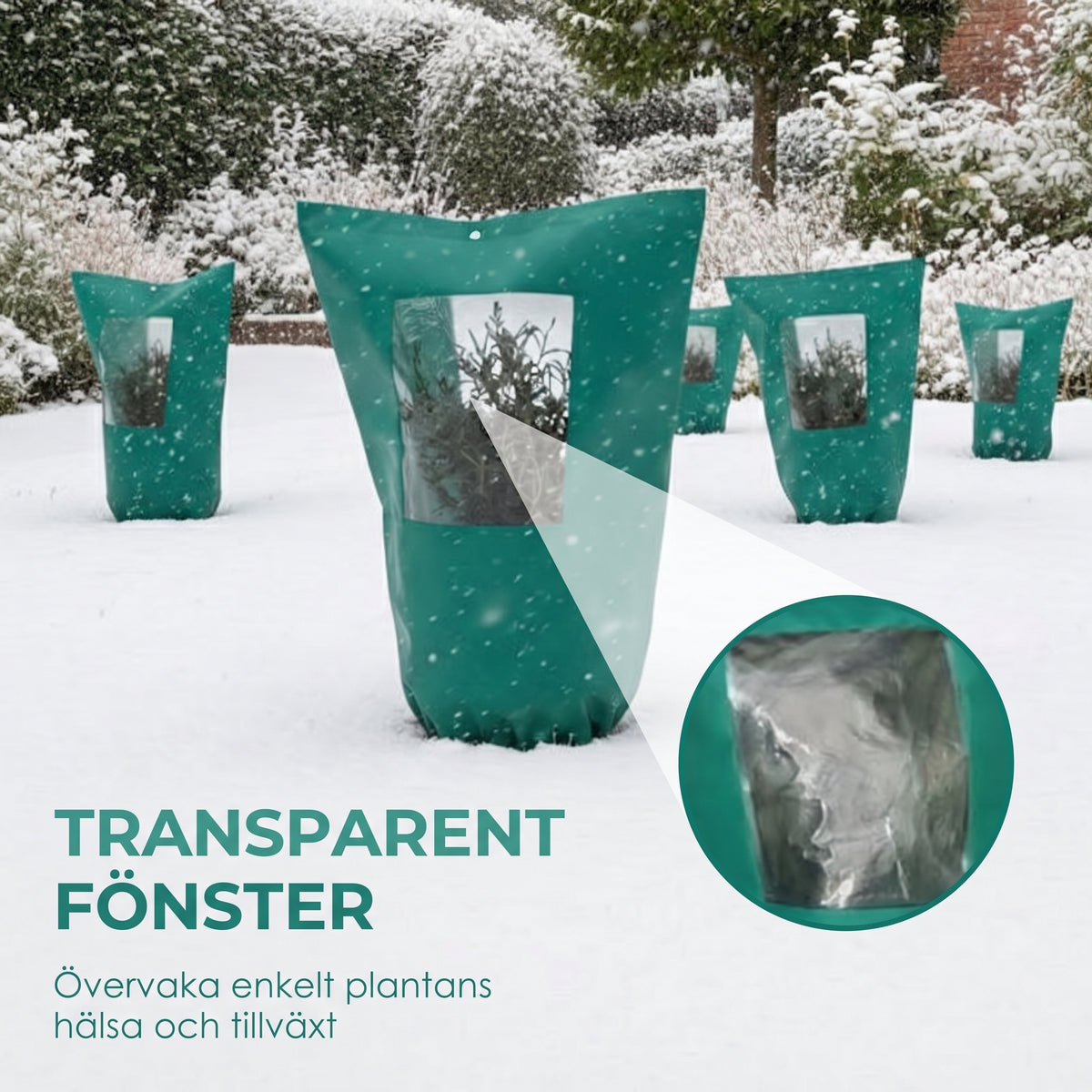 Vinteröverdrag för växter med dragkedja och dragsko – Frostsäkert, transparent fönster och robust design – Perfekt för fruktträd, grönsaker och krukväxter