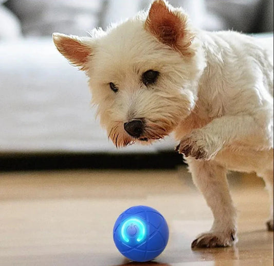 InteractiveBall – Självrörlig & Lysande Husdjursboll för Hund & Katt