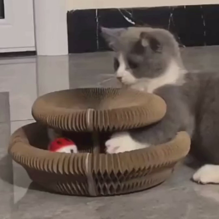 Kattklösbräda i Dragspelsdesign