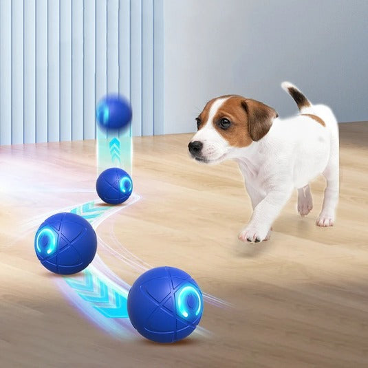 InteractiveBall – Självrörlig & Lysande Husdjursboll för Hund & Katt
