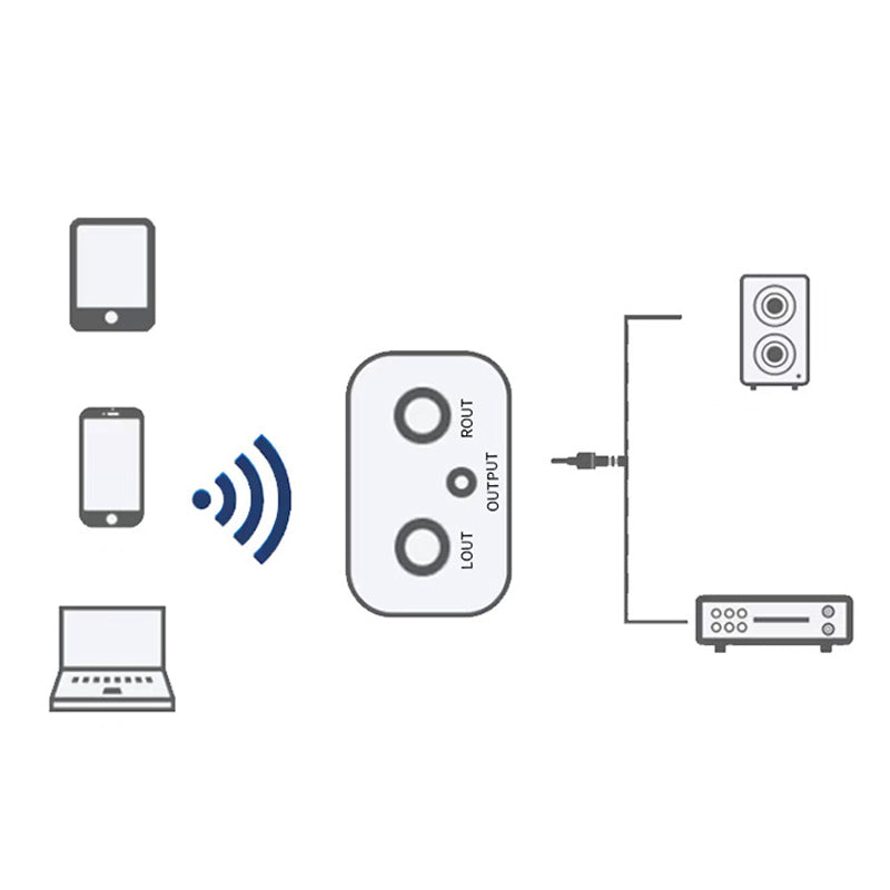 Trådlös Ljudmottagare med Dual Output – CD-Kvalitet