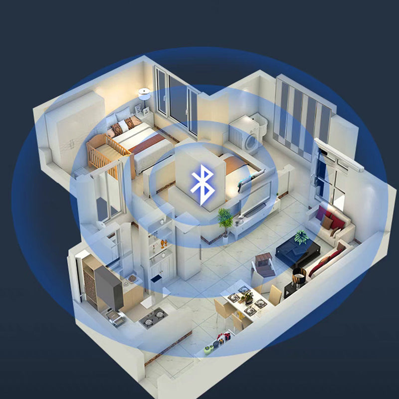 Trådlös Ljudmottagare med Dual Output – CD-Kvalitet